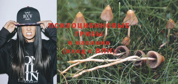 эйфоретик Заволжск