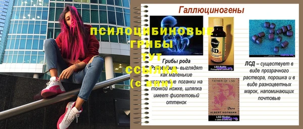 амф Заводоуковск