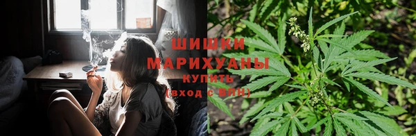 амф Заводоуковск
